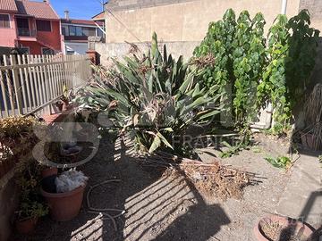 Casa Indipendente Cabras [Cod. rif 3343312VRG]