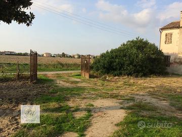 Terreno a Ospedaletto Euganeo (PD)