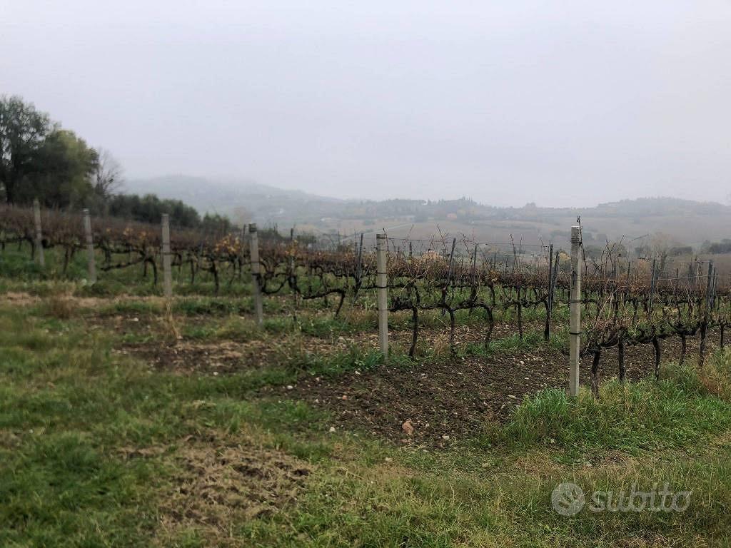 Terreno di 44000 m² a Rimini - Vista 5