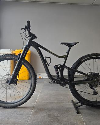 Bici giant trance x