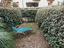 Immagine 7