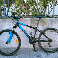 Mountain bike bambino