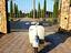 Immagine 7
