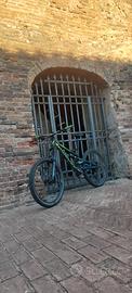 MTB devinci spartan 