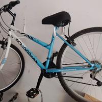 bicicletta ragazzo 26" schiano