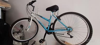 bicicletta ragazzo 26" schiano