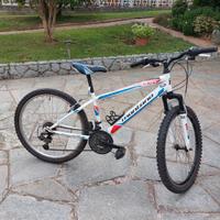 Bicicletta Montana misura  26