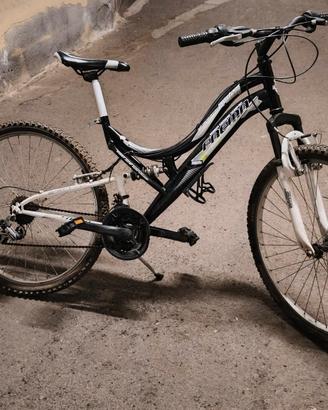 MTB FAEMA DA 26'