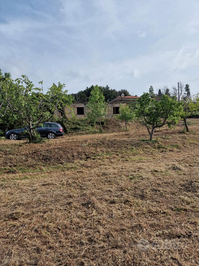 Terreno agricolo con immobile - Vista 5
