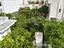 Immagine 11