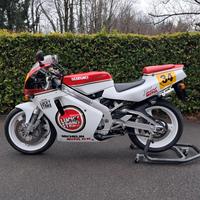 suzukirgv250 
