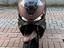 Immagine 1