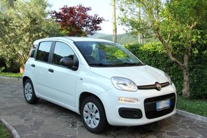 Fiat Panda 1.2 benzina 2017