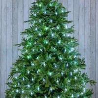 Mantello luci albero di Natale 