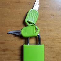 Mini Lucchetto colorato in metallo