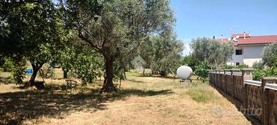 TER. RESIDENZIALE A MARANO PRINCIPATO