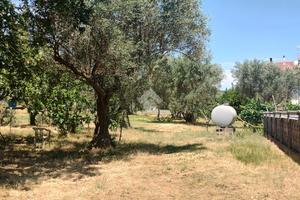 TER. RESIDENZIALE A MARANO PRINCIPATO