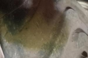 ruote complete misura 20-20