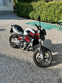 Aprilia shiver