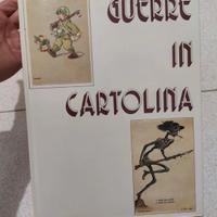 Guerre in cartolina raro libro raccolta cartoline