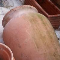 Giara / Orcio  Terracotta a  Savona