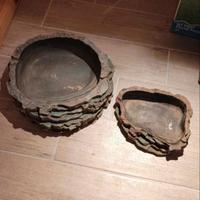 Vaschette per rettili