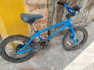 Bicicletta da bambino