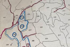 Terreno situato a Capranica-Prenestina
