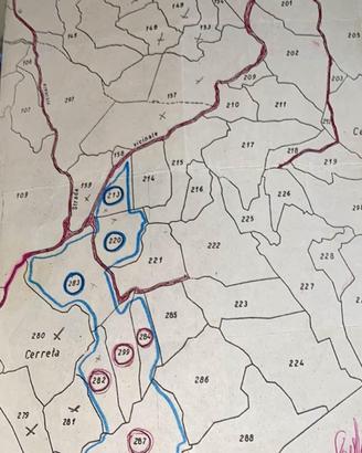 Terreno situato a Capranica-Prenestina