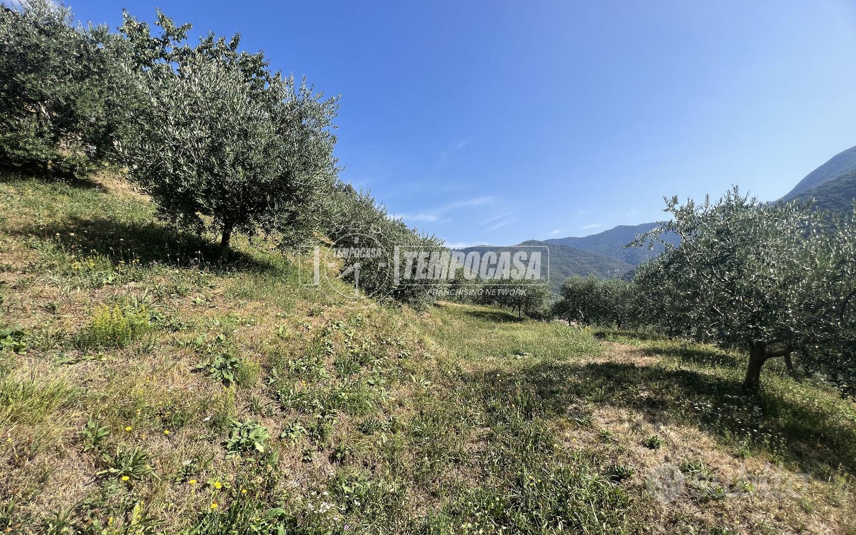 TERRENO AGRICOLO IN ZONA CENTRALE - Altro