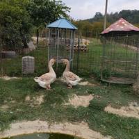 Oche Tolosa industriale champagne