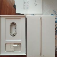 iPad mini 4 WiFi+cellulare 128GB