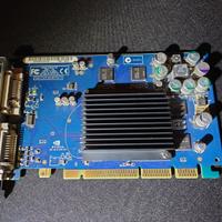 Scheda video AGP Nvidia