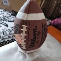 Pallone da Rugby