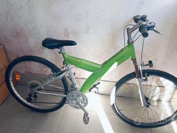 bicicletta 