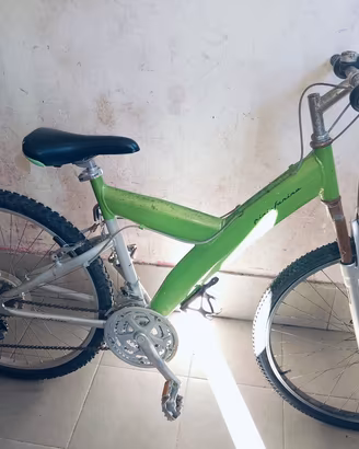 bicicletta 