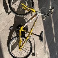 Bici per bambino misura 20.