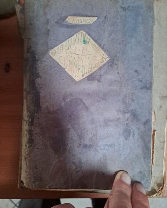 Libro antico  del 1873 La divina Commedia