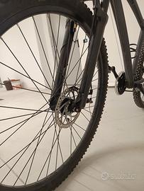 Bicicletta MTB Hornet 29 Eclipse 