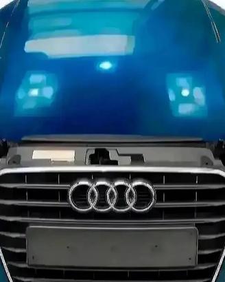 Audi A3 8V Muso Paraurti Fari Radiatori