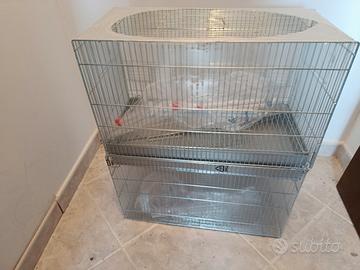 Gabbie domus molinari 55