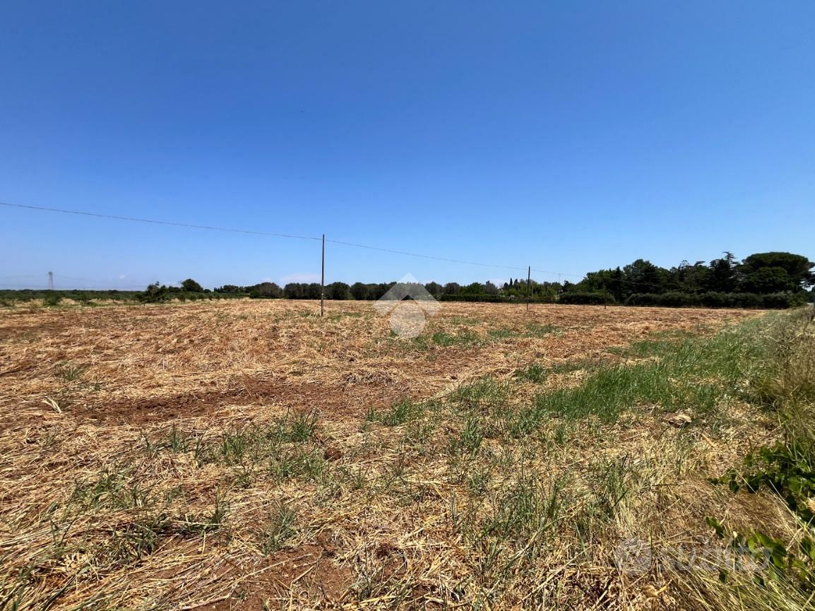 TER. AGRICOLO A MESAGNE - Vista 5