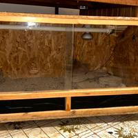 Teca / Terrario rettili 100x60x50