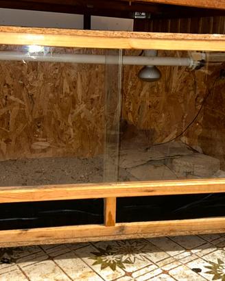 Teca / Terrario rettili 100x60x50