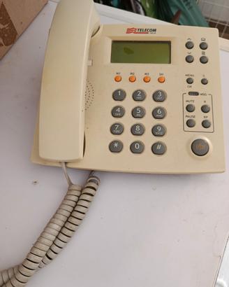 telefono fisso 