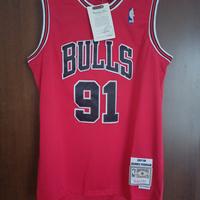 Maglia NBA Chicago Bulls Dennis Rodman taglia L