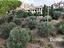 Immagine 27