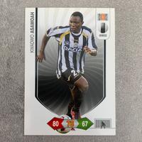 Panini Card Adrenalyn XL 2010/11 Udinese