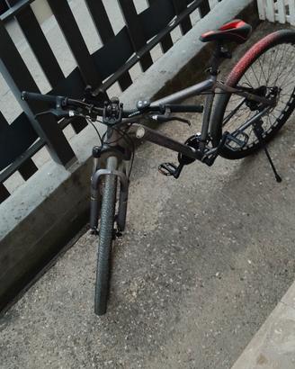 bici (bicystar)