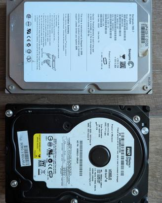 2 Hard Disk 3.5" SATA 80GB Seagate e WD

